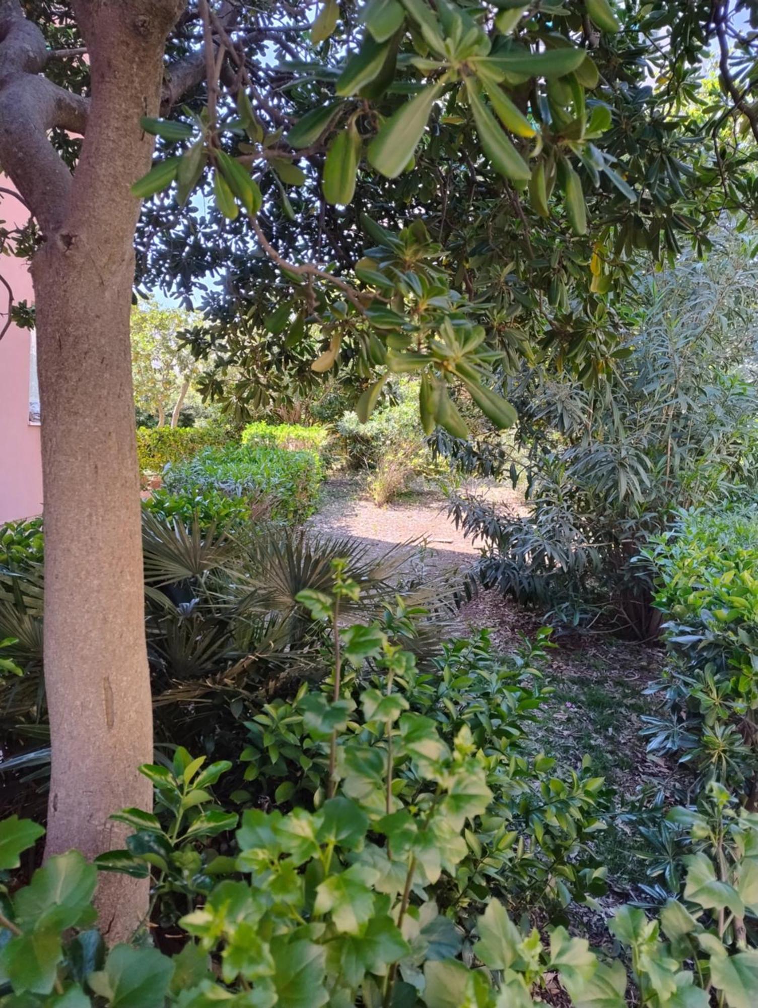 Destinazione Paradiso Apartment Piombino Exterior photo